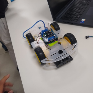Auto Robótico